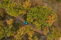 Vista aerea di auto e la foresta — Foto stock