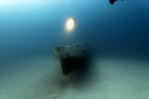 Подводный вид на красивое красное море — стоковое фото