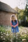 Young girl collecting dandelion seeds. — Stock Photo