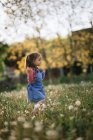 Молода дівчина грає в парку, повний кульбаб з розмитим ба — стокове фото