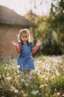 Junges Mädchen spielt mit Pusteblumen aus Löwenzahn. — Stockfoto