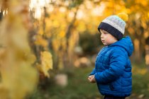 Side view of small boy in garden during autumn in blue jacket — Stock Photo