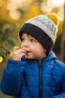 Вид сбоку на маленького мальчика, который ест желтую редиску в саду — стоковое фото