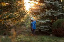 Niño pequeño en el bosque entre abetos en chaqueta azul durante la puesta del sol - foto de stock