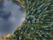 Aerial view of a reflective lake surrounded by pine trees — Stock Photo
