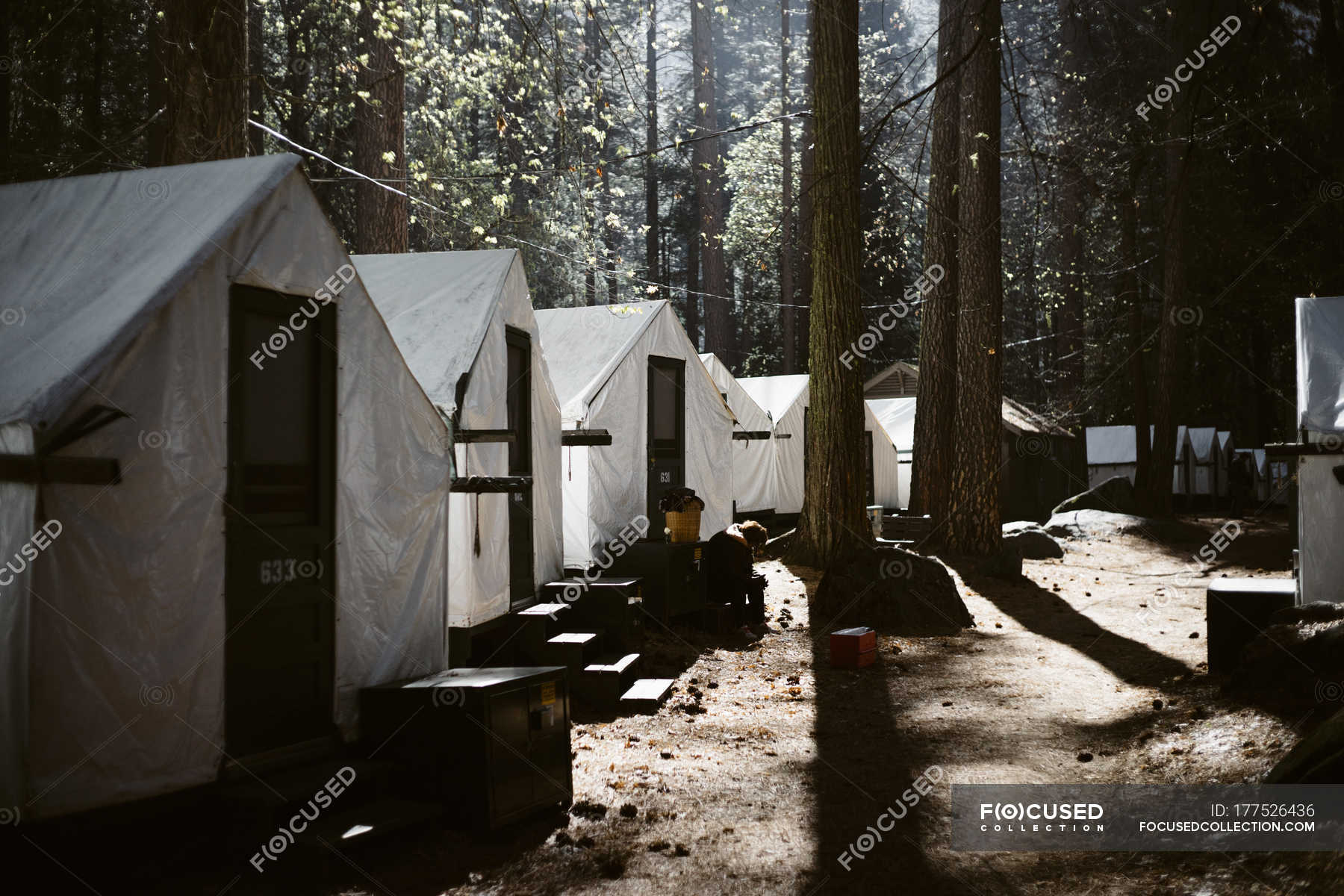Tents Cabins In Curry Village At Yosemite National Park