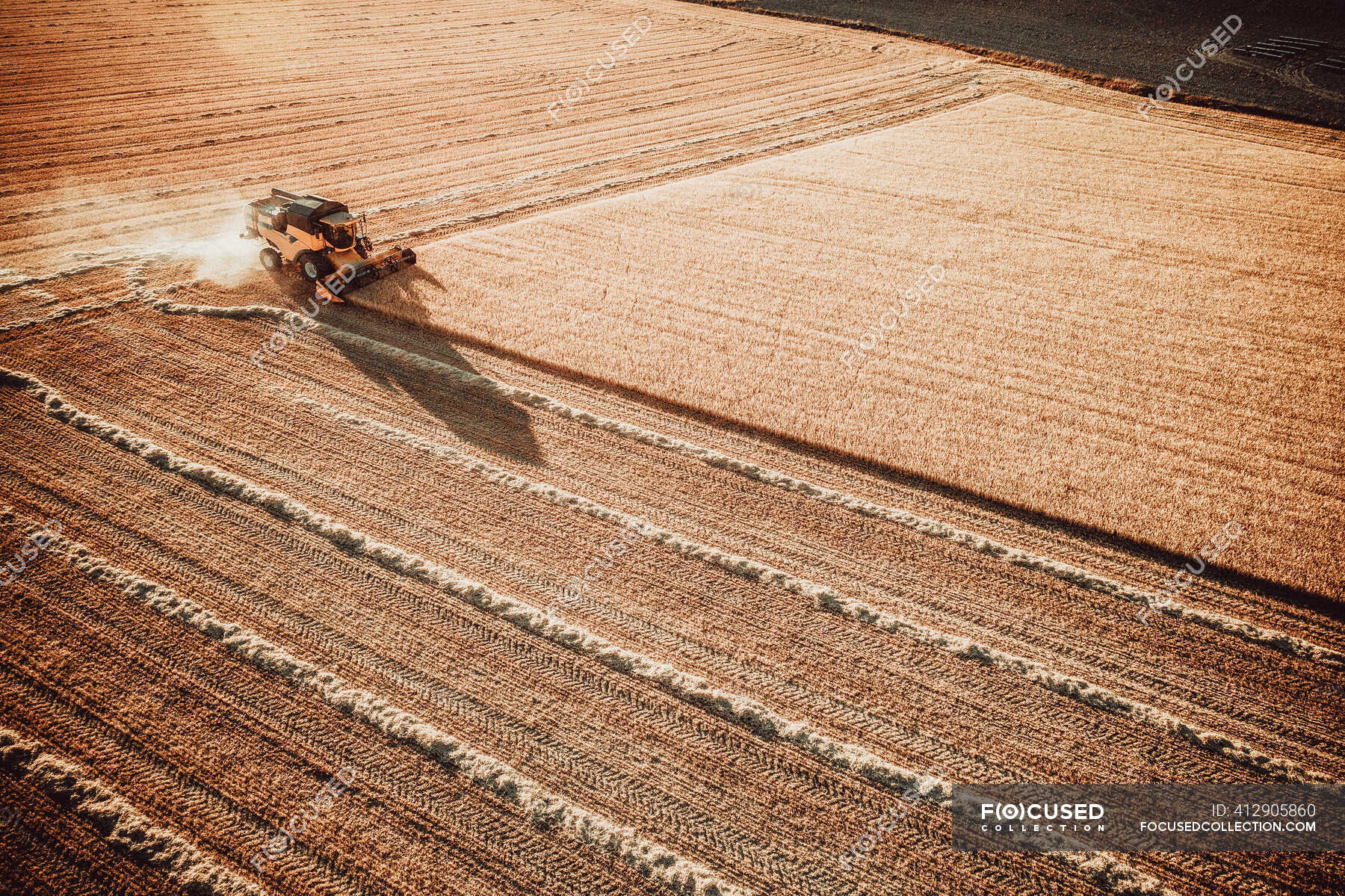 Field harvesting on the fields — seed, corn - Stock Photo | #412905860