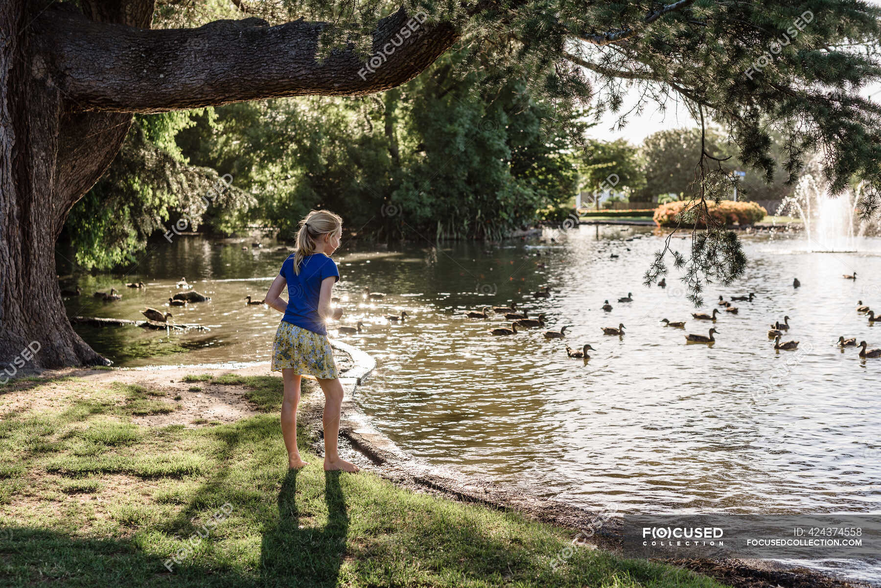 Preteen fille regarder des canards dans un étang en NouvelleZélande — Préadolescence, Hastings