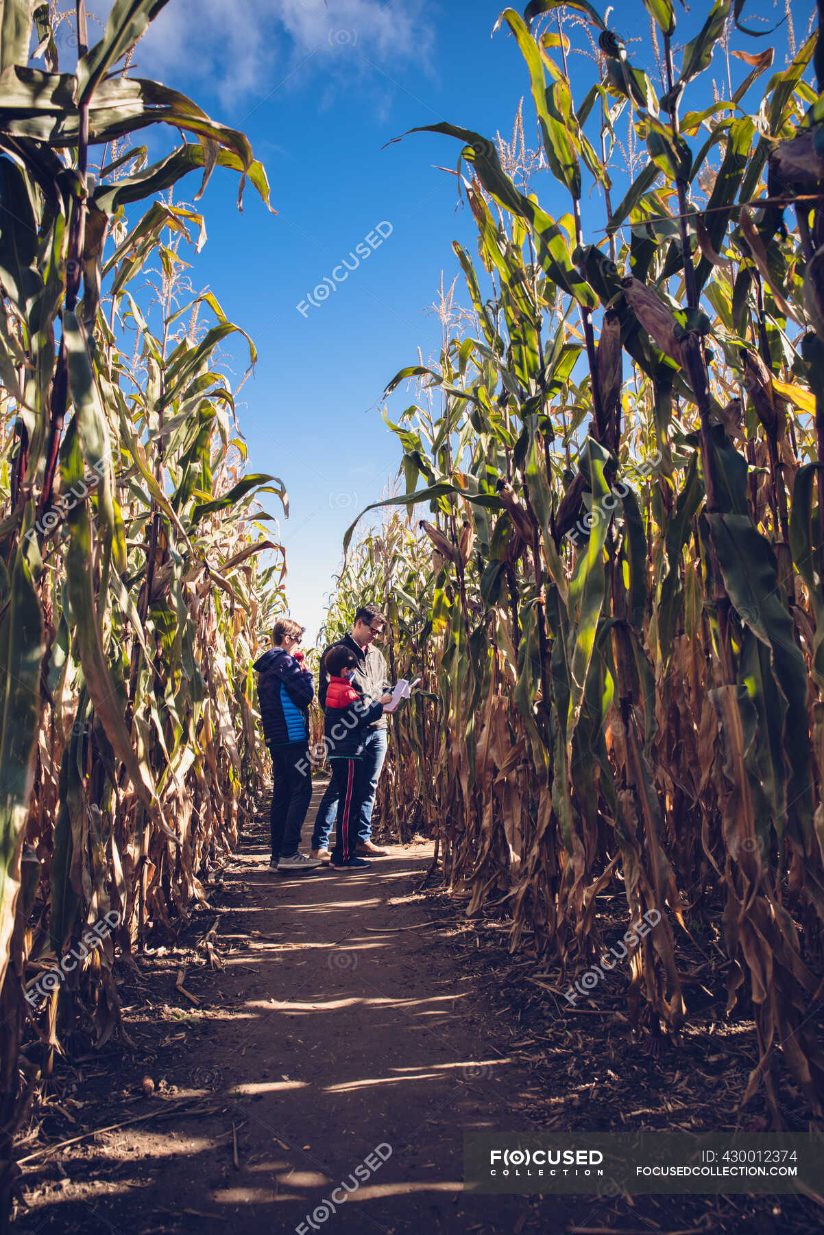 Cornucopia Of Fun At Champlin's Corn Maze