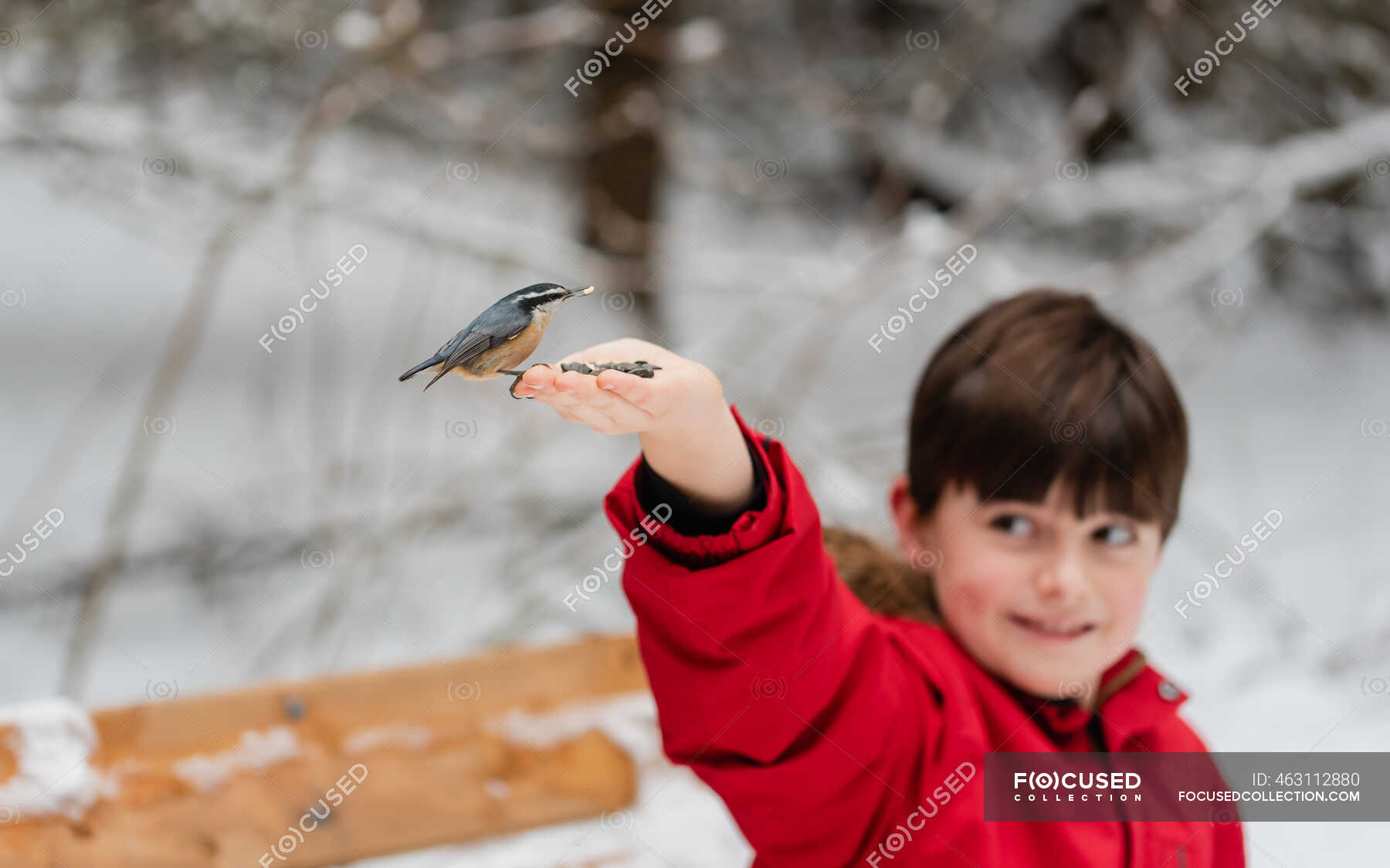 Little boy with bird on his hand in winter — male, people - Stock Photo ...