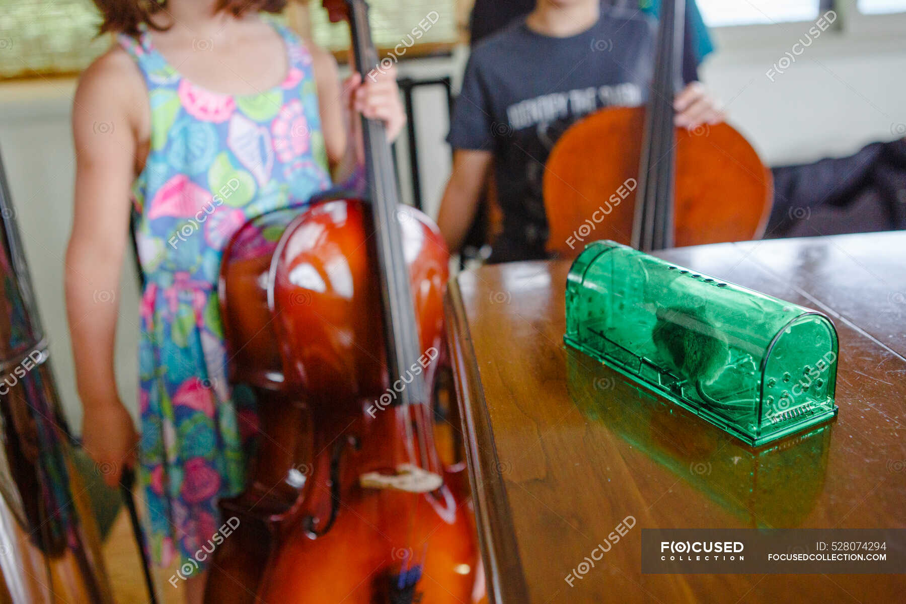 Bambina che suona il violino a casa — Femmina, imparare Stock Photo