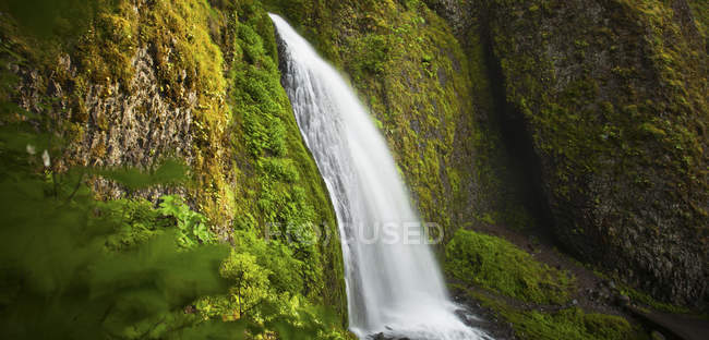 La exuberante vegetación rodea las cataratas de Wahkeena en el desfiladero del río Columbia, Oregon - foto de stock