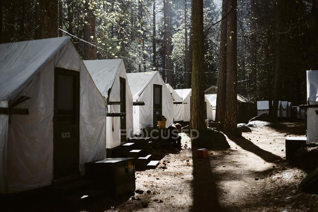 Tents Cabins In Curry Village At Yosemite National Park