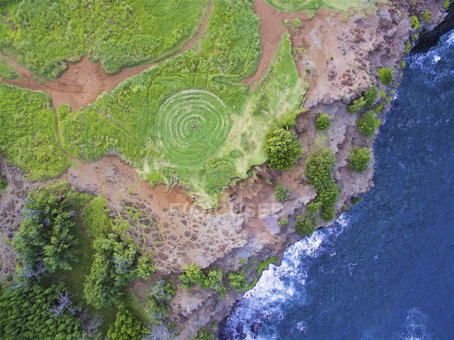 Vue aérienne du littoral hawaïen avec une végétation vive et des vagues de surf — Photo de stock