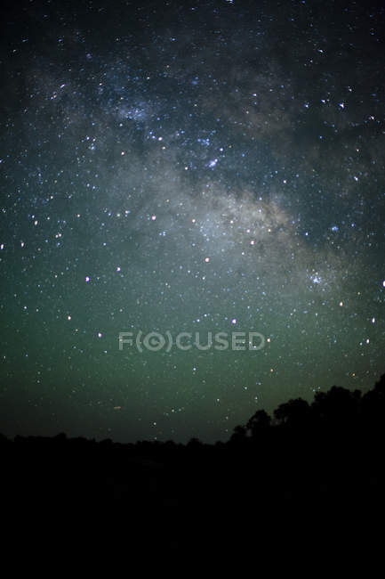 Milky Way stars shining above dark forest — Stock Photo