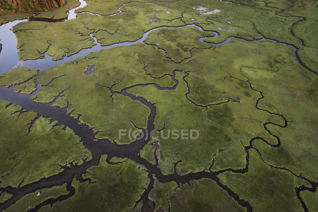 Aerial view of river delta during low tide — Stock Photo