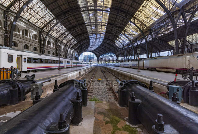 Trens nas plataformas de uma estação de Barcelona com um telhado fantástico — Fotografia de Stock