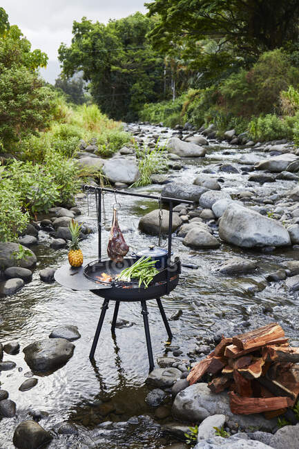 Uomo chef cucinare carne barbecue al fuoco della foresta — Foto stock