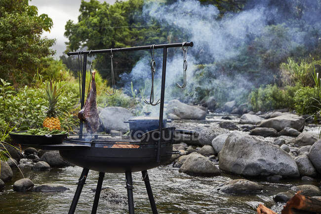 Barbecue a legna aperto vicino Stream — Foto stock