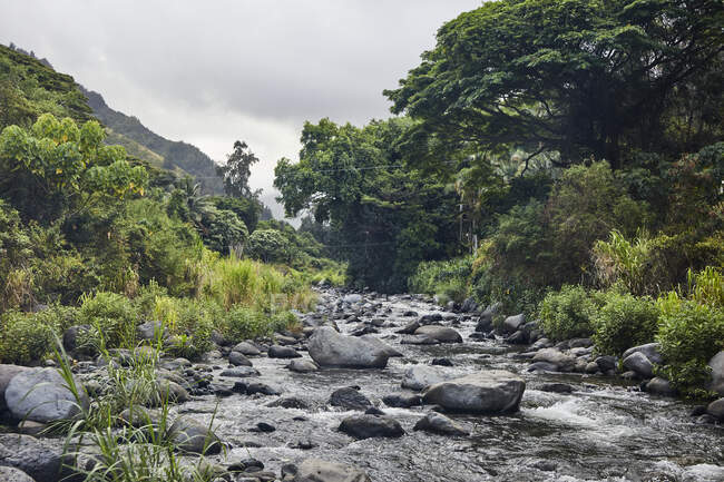 Iao Stream à Maui, Hawaï — Photo de stock