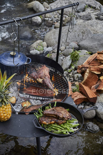 Barbecue Over Open Flame at Campsite near Stream — Stock Photo