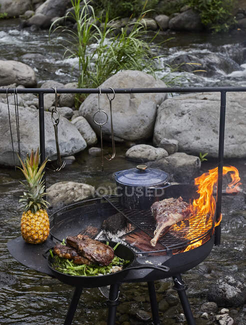 Churrasco de chama aberta cozido perto do acampamento Picnic — Fotografia de Stock