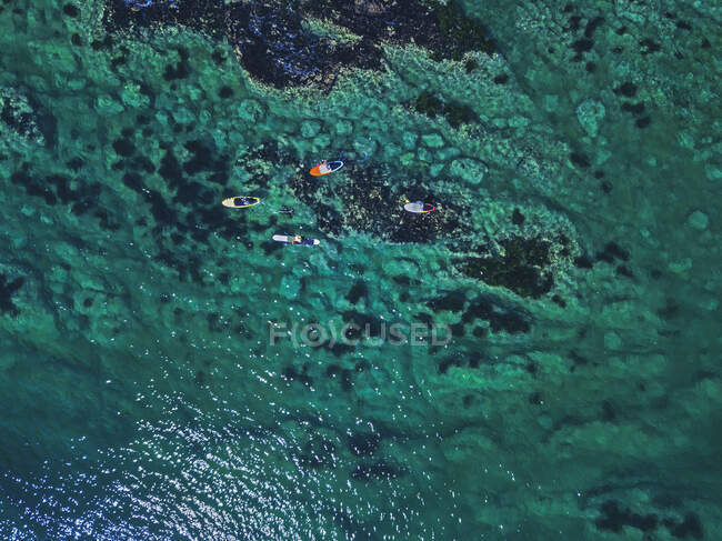 Вид с воздуха на СУП-серферов, Приморский край, Россия — стоковое фото