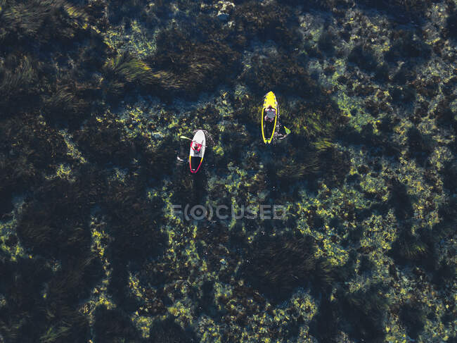Aerial view of SUP surfers, Primorsky region, Russia — Stock Photo