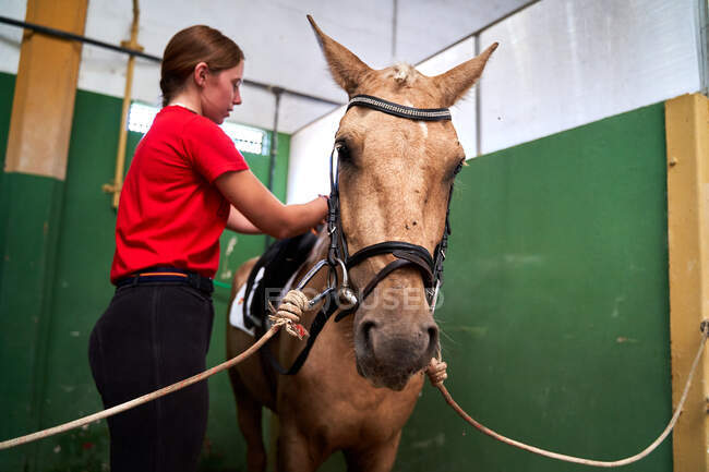 Fille prend soin de son cheval avant le cours d'équitation — Photo de stock