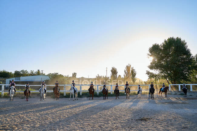 Crianças monta um cavalo na aula de equitação — Fotografia de Stock