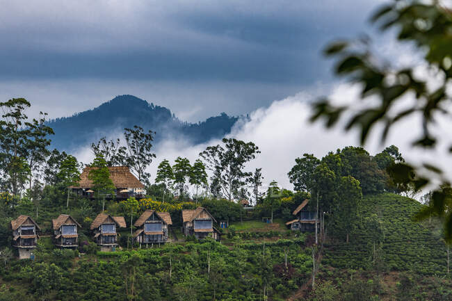 Häuser einer Teelodge über Ella in Sri Lanka — Stockfoto