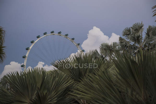 Ferris wheel seen from Marina Bay gardens in Singapore — Stock Photo