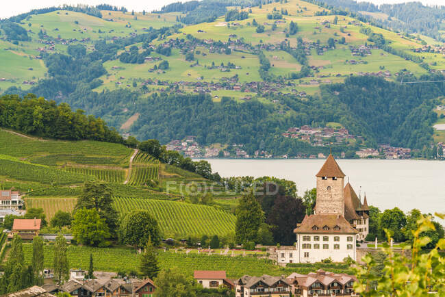 Bela aldeia de Spiez no Lago Thun em Alpes suíços perto de Interlaken — Fotografia de Stock