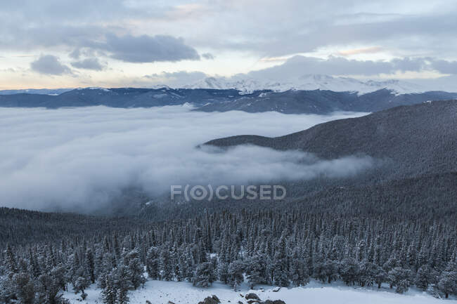 Зимой гора Эванс с горы скво, национальный лес Арапахо, колорадо. — стоковое фото