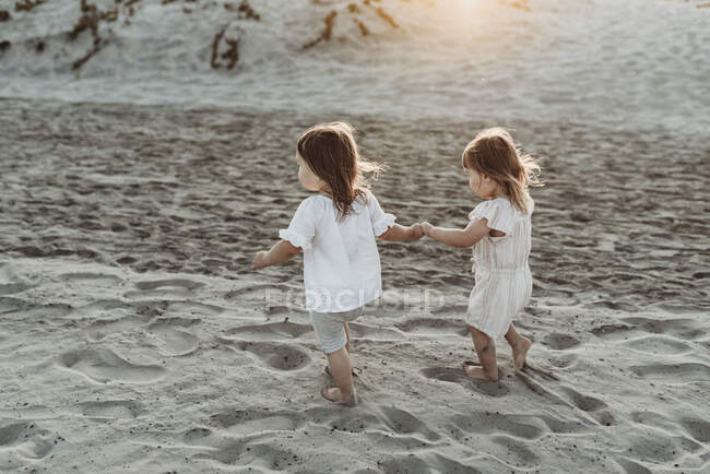 Vista lateral de meninas da criança jovem de mãos dadas e andando na praia — Fotografia de Stock