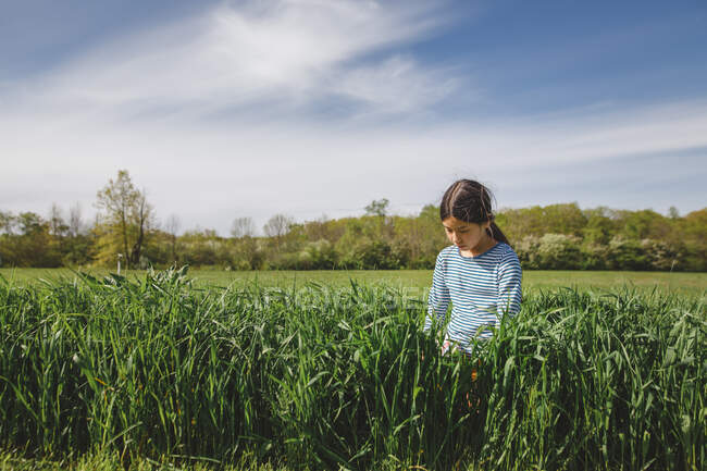Дівчинка сидить на трав 