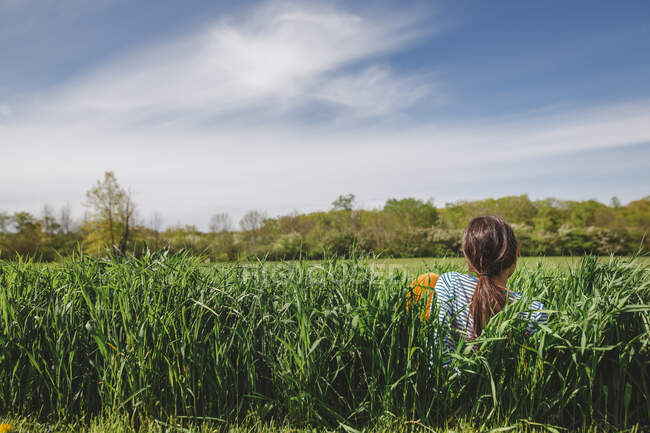 Vista trasera de la niña sentada en el campo de hierba alta contra el cielo azul brillante - foto de stock