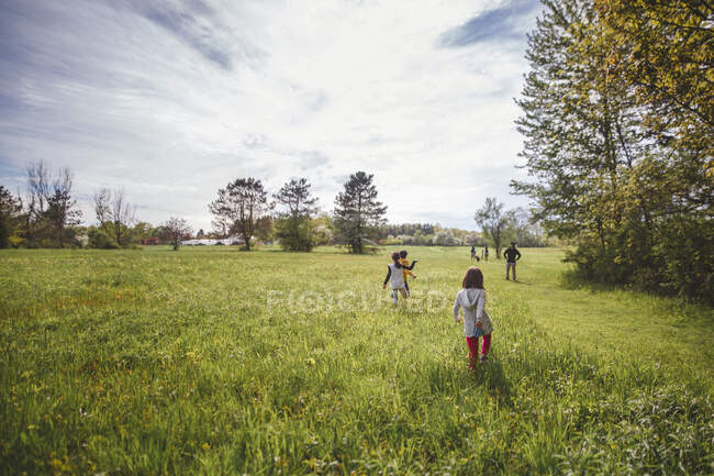 Vista trasera de una familia corriendo a través de la hierba alta y verde en un día soleado - foto de stock