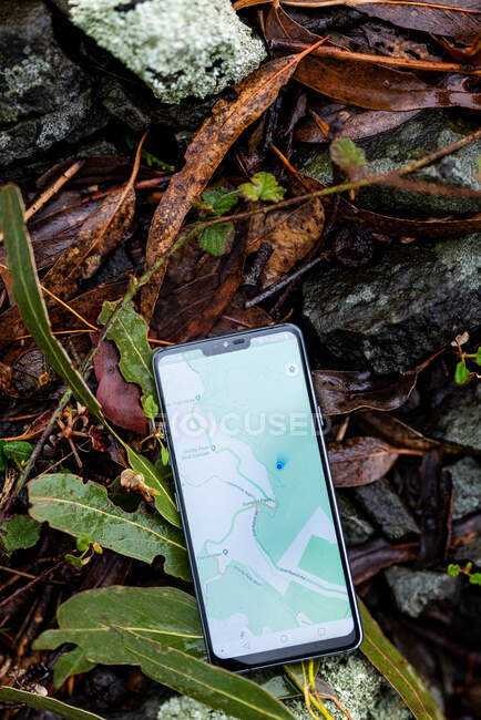 Умный телефон с GPS-картой на экране, лежащий на мокрых камнях и листьях — стоковое фото
