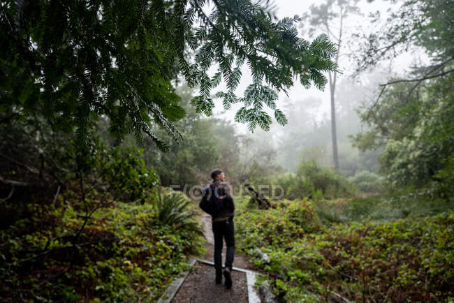 Mann mit Rucksack wandert durch sattes Grün im nebligen Wald — Stockfoto