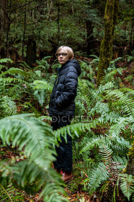 Teenage boy standing in fern grove in Northern California forest — Stock Photo