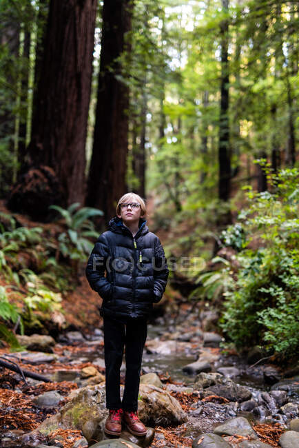 Garçon avec des lunettes et manteau gonflé debout sur des pierres de rivière dans les séquoias — Photo de stock