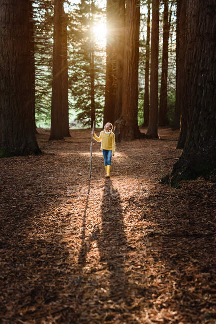 Niedliches Mädchen, das im Wald spazieren geht — Stockfoto