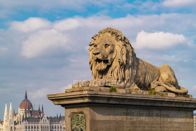 Лев з ланцюгового мосту з урядовим палацом у Пешті. — стокове фото