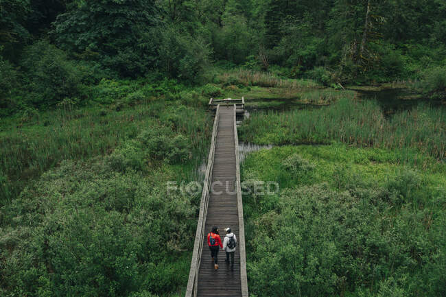 Молода пара подорожує лісом на північному заході Тихого океану. — стокове фото