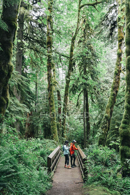 Una giovane coppia si gode un'escursione in una foresta nel nord-ovest del Pacifico — Foto stock