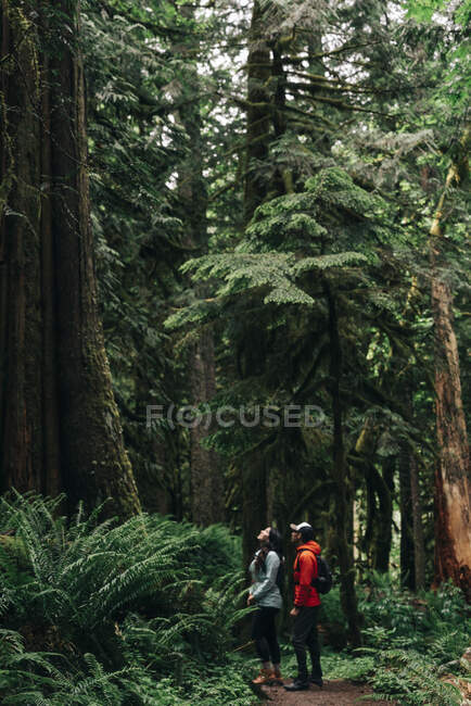 Ein junges Paar genießt eine Wanderung in einem Wald im pazifischen Nordwesten. — Stockfoto
