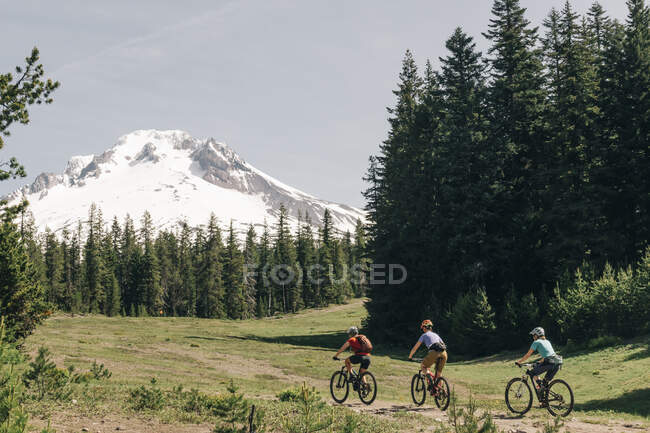 Drei befreundete Mountainbikerinnen auf einem Trail am Mt. Hood, Oregon. — Stockfoto