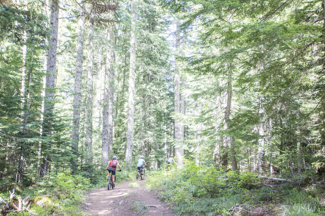Three female friends mountain bike on a trail at Mt. Hood, Oregon. — Stock Photo