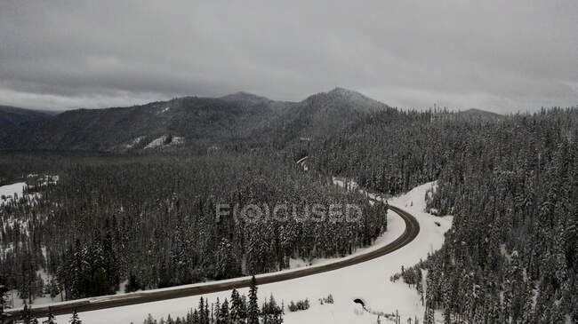 Uma estrada atravessa a floresta no inverno. — Fotografia de Stock